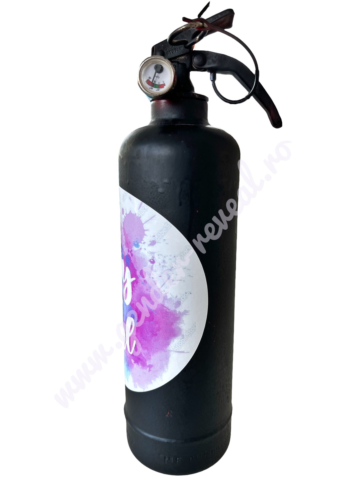 Extinctor pudra colorata albastru gender reveal