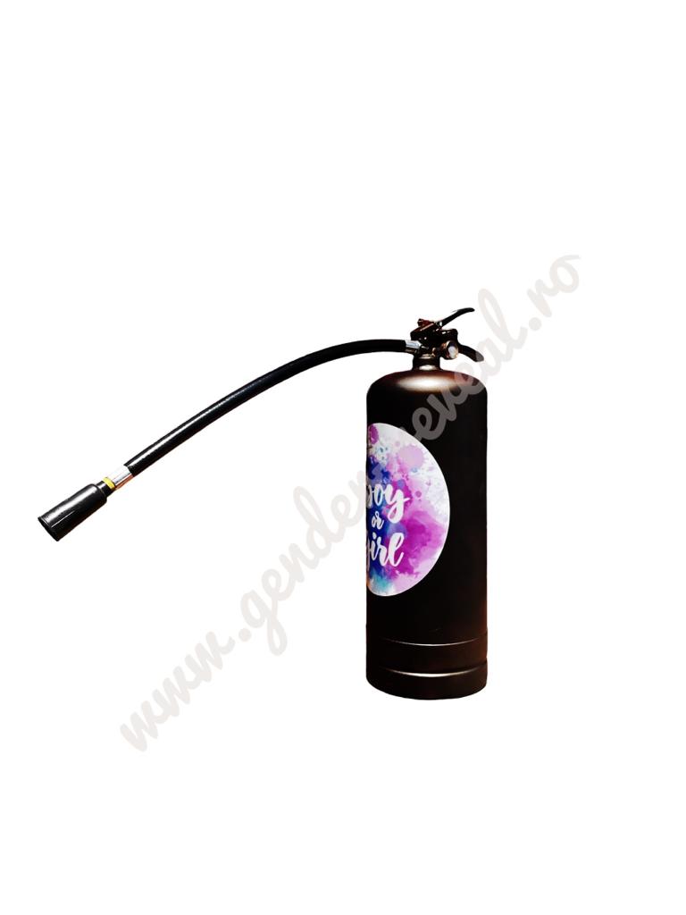 Extinctor pudra colorata albastru gender reveal - 6l