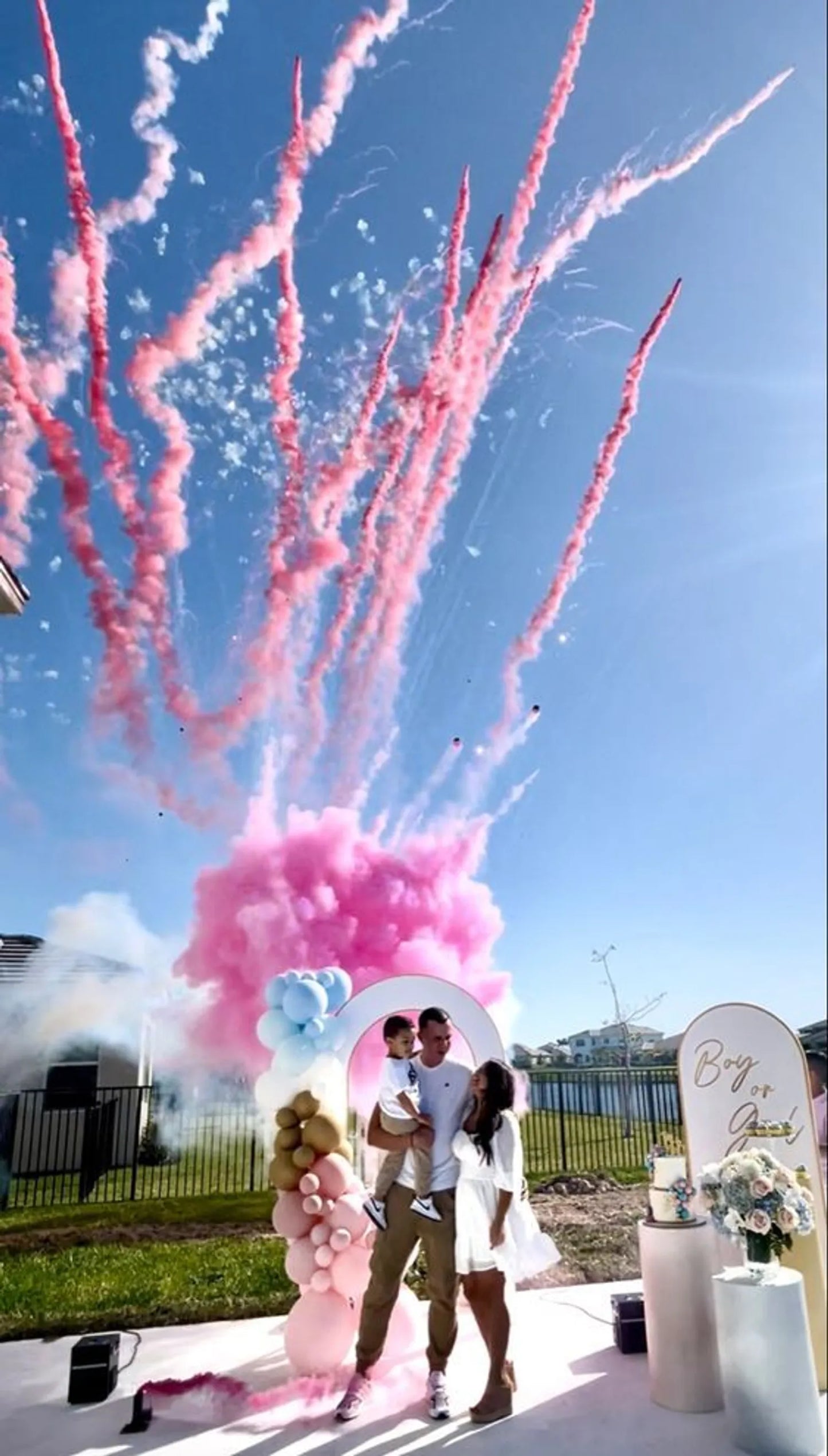 Artificii Roz Gender Reveal