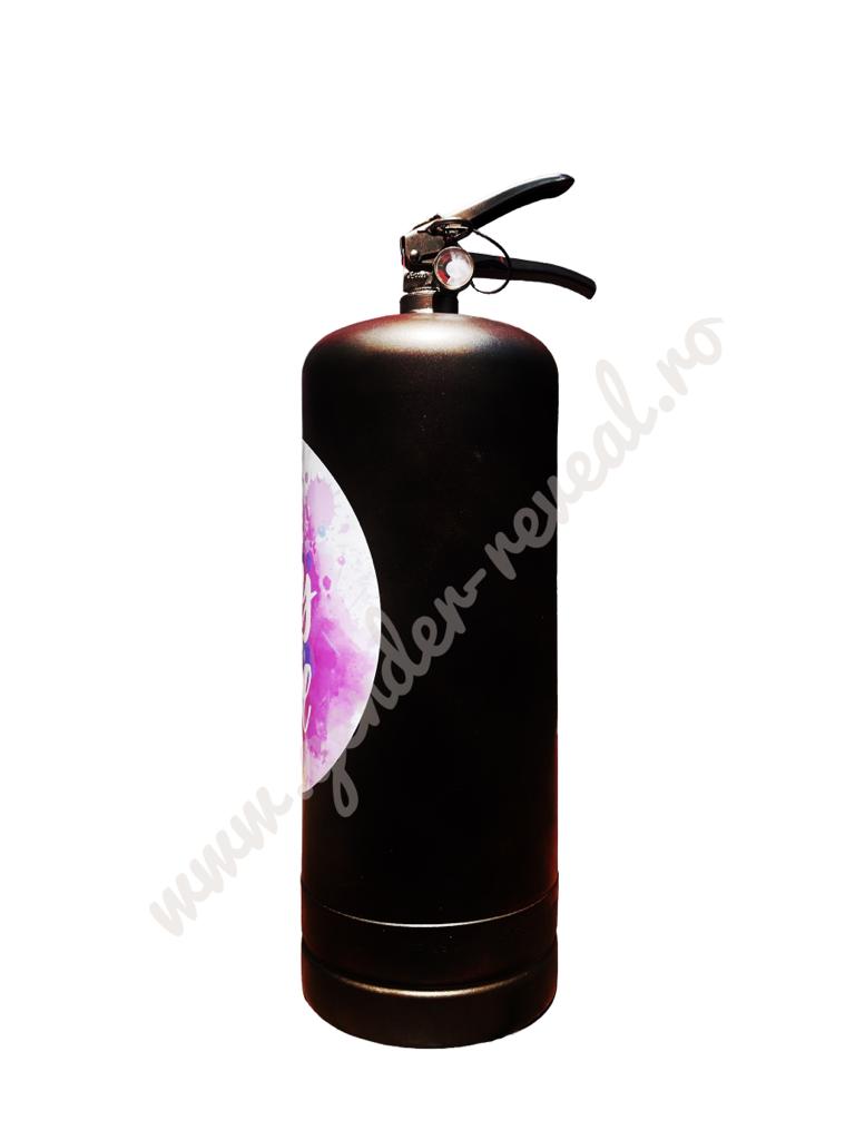 Extinctor pudra colorata roz gender reveal - 6l